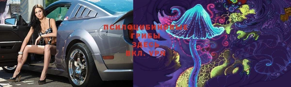 ешки Нефтегорск