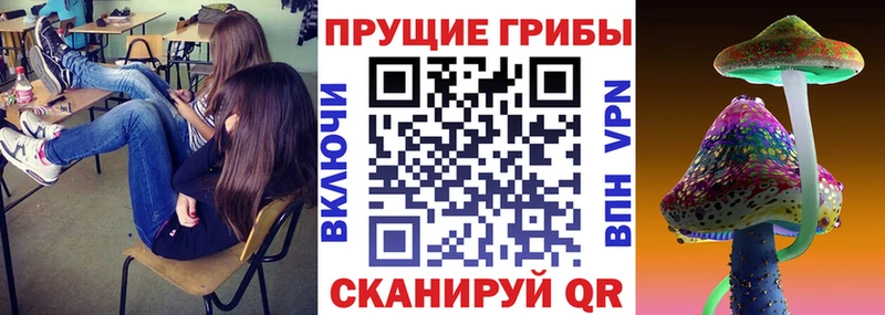 Псилоцибиновые грибы Magic Shrooms  купить наркотики цена  Сергач 